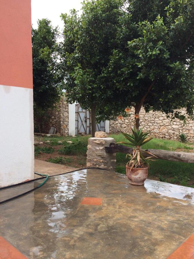 Chez Ali Villa Szavíra Kültér fotó